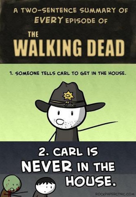 The Walking Dead Summary